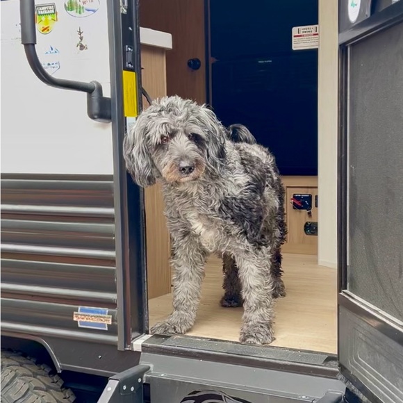 Meet your Posher, Renée - Picture 9 of 9